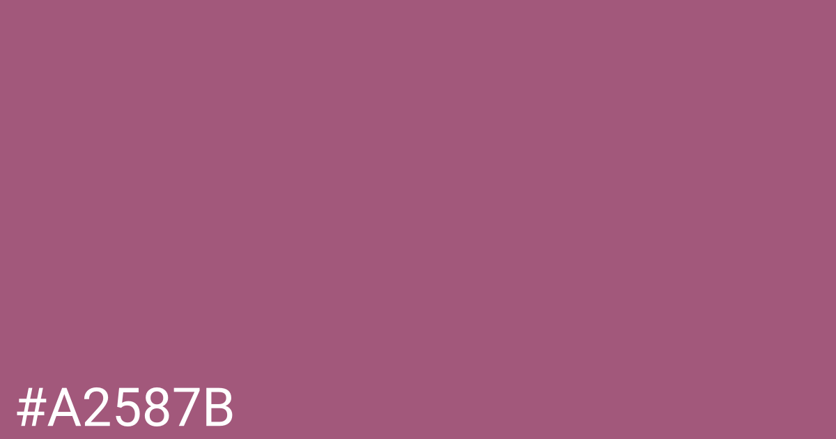 Hex color #a2587b graphic