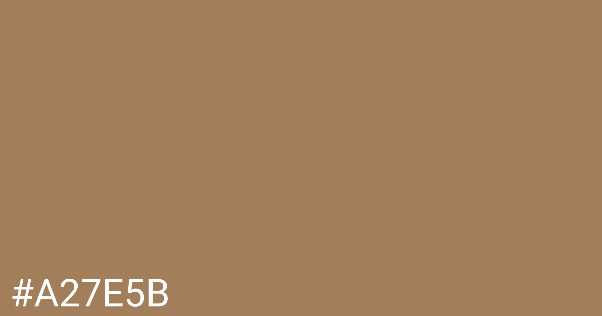 Hex color #a27e5b graphic
