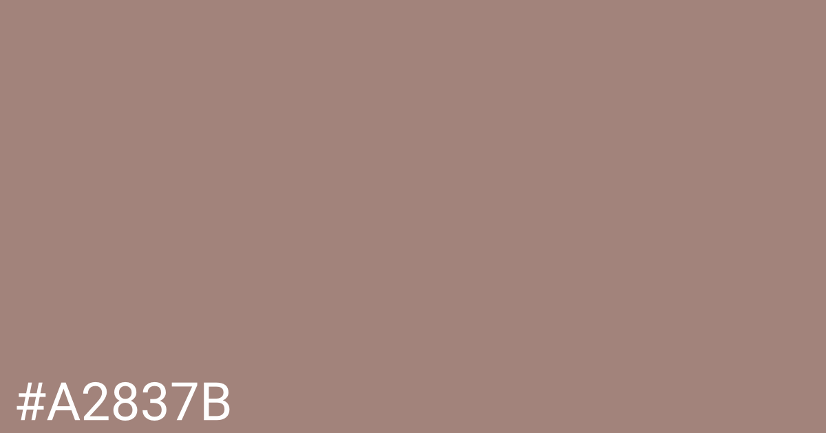 Hex color #a2837b graphic