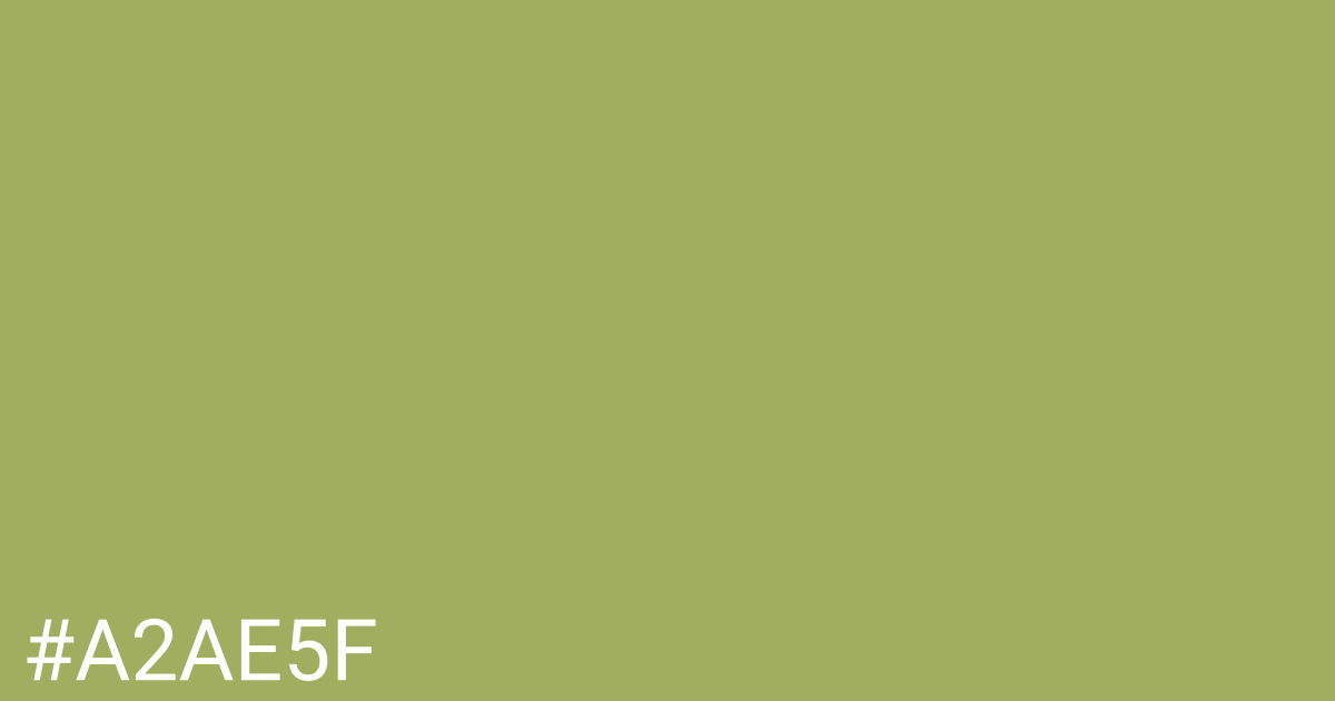 Hex color #a2ae5f graphic