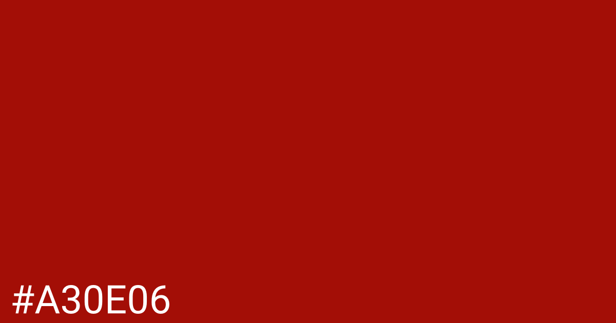 Hex color #a30e06 graphic