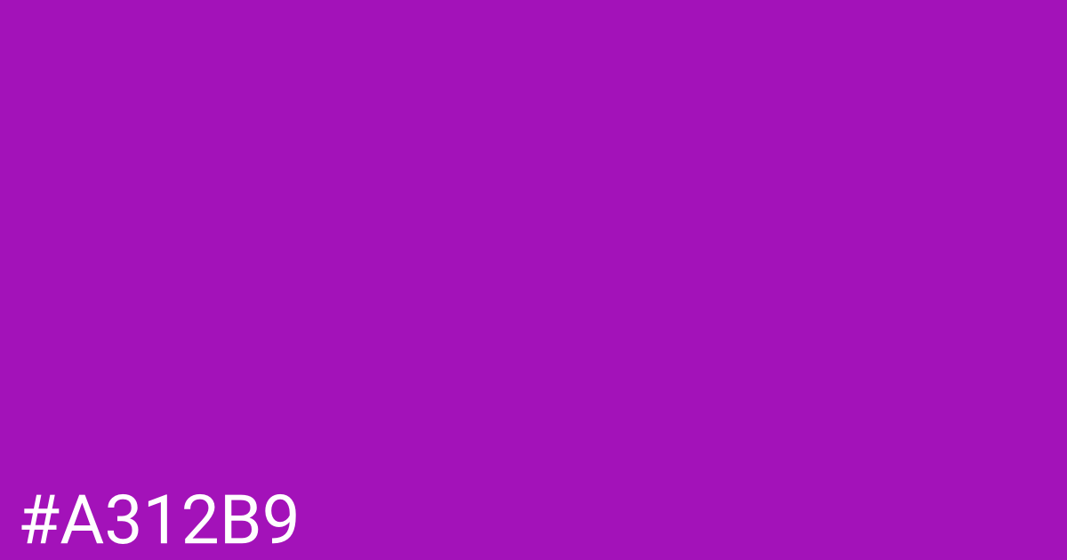 Hex color #a312b9 graphic