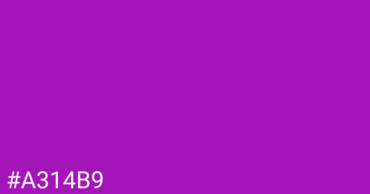 Hex color #a314b9 graphic