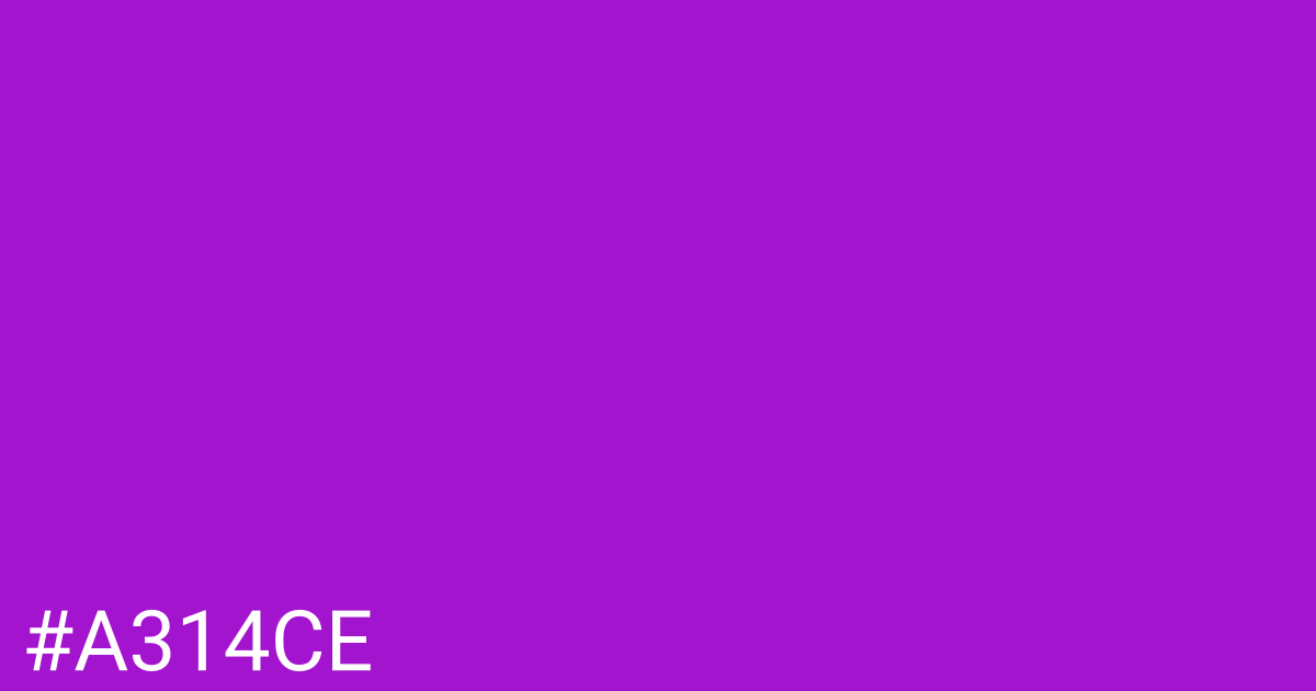 Hex color #a314ce graphic