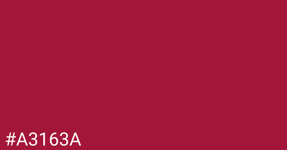 Hex color #a3163a graphic