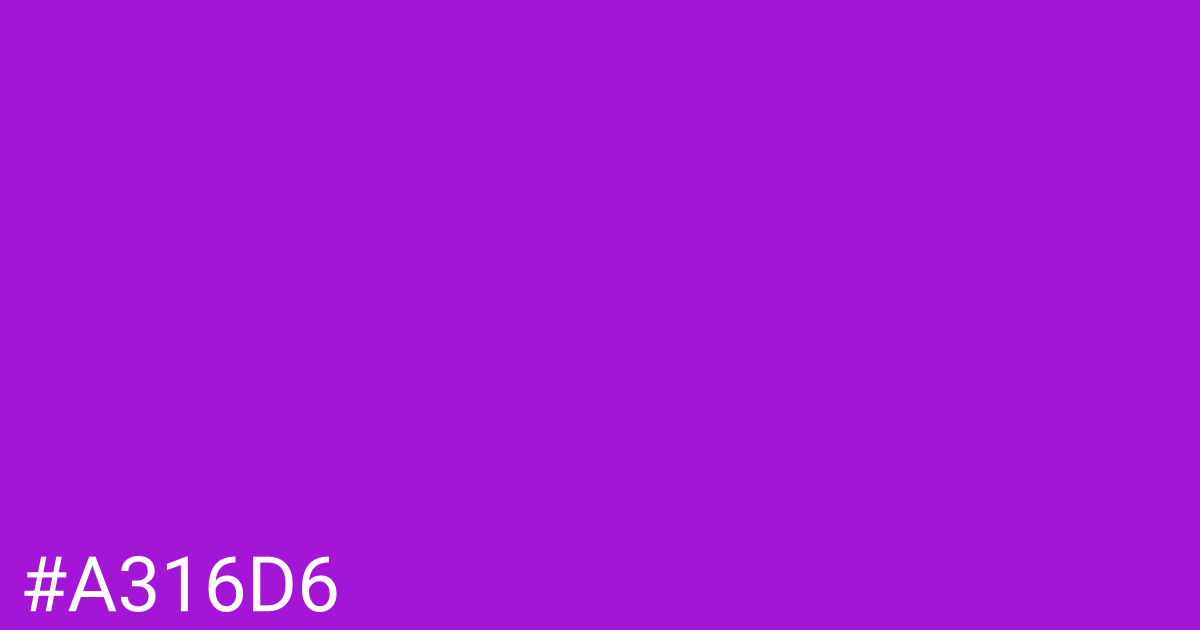 Hex color #a316d6 graphic
