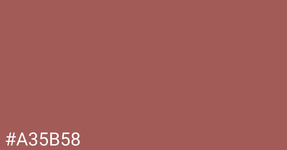 Hex color #a35b58 graphic