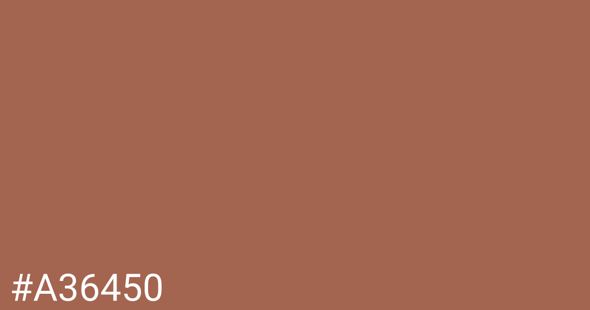 Hex color #a36450 graphic