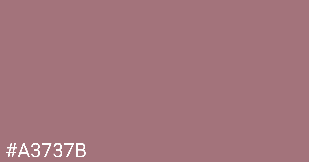 Hex color #a3737b graphic