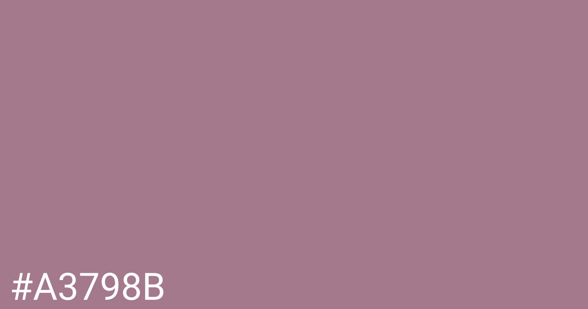 Hex color #a3798b graphic