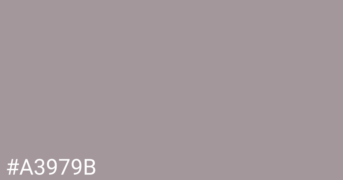 Hex color #a3979b graphic