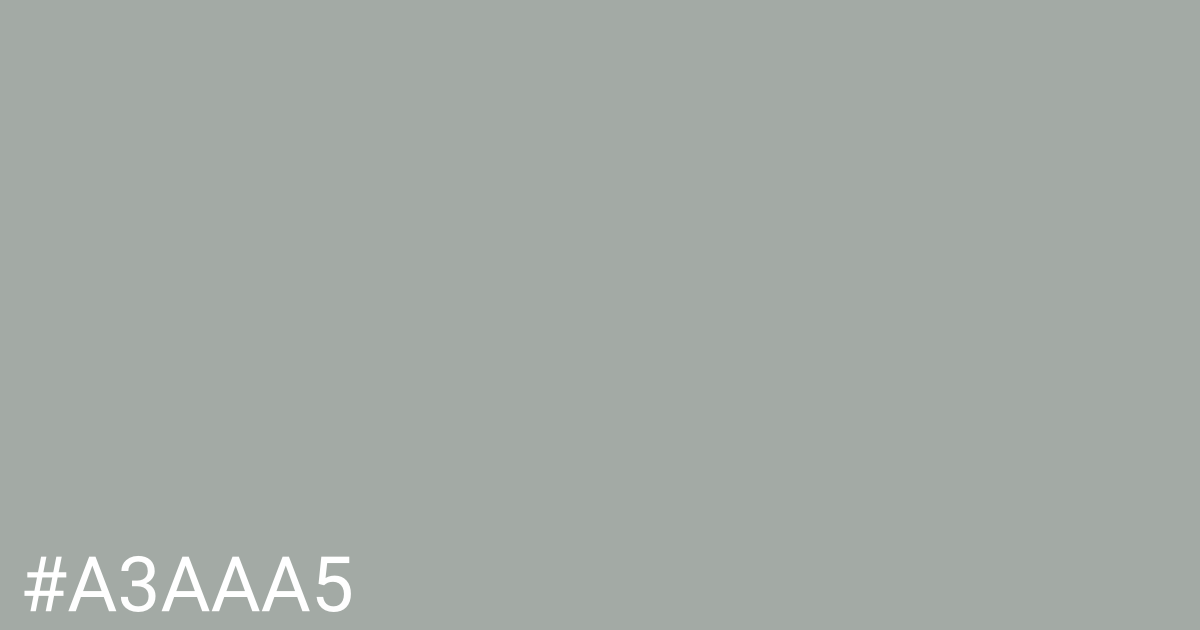 Hex color #a3aaa5 graphic