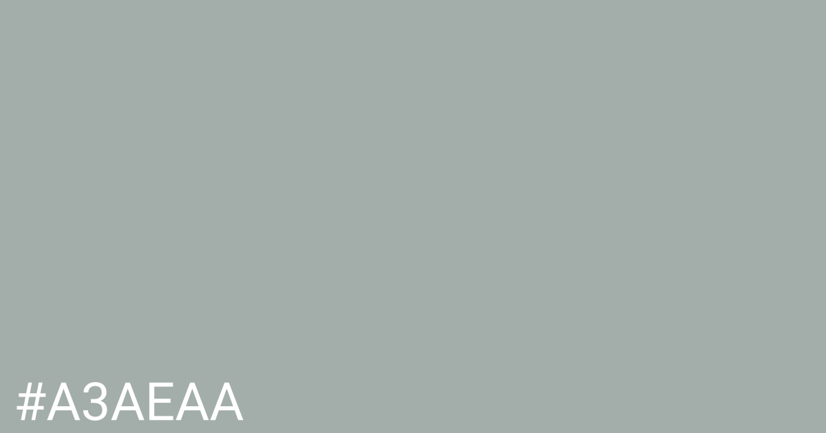 Hex color #a3aeaa graphic