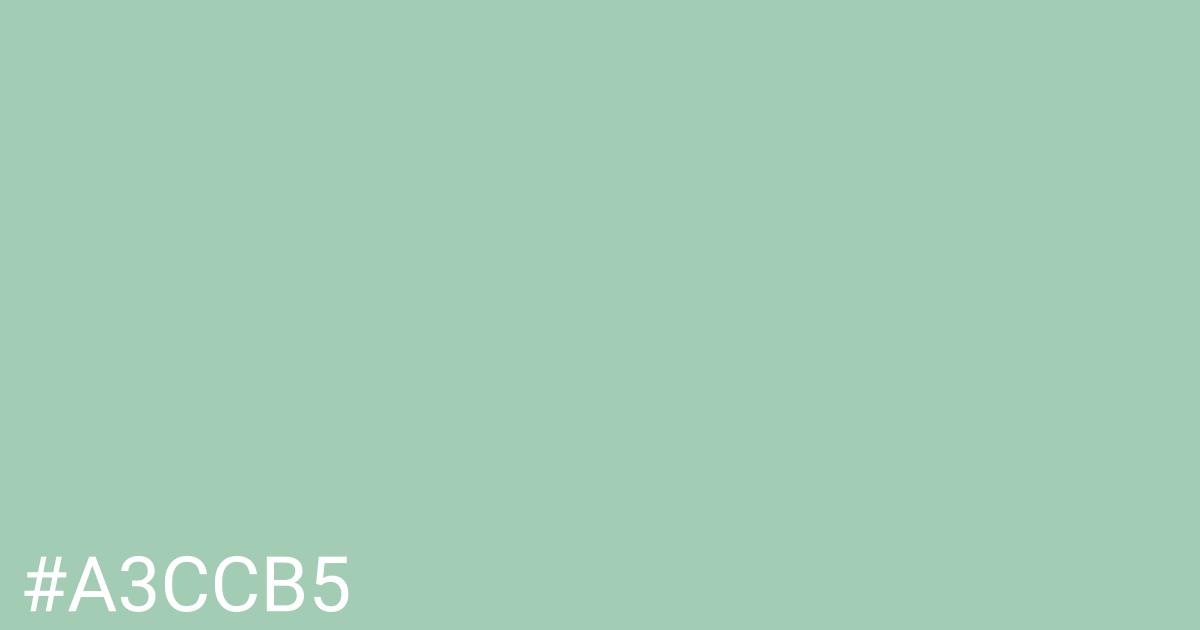 Hex color #a3ccb5 graphic