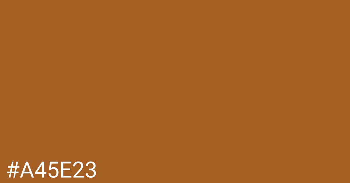 Hex color #a45e23 graphic