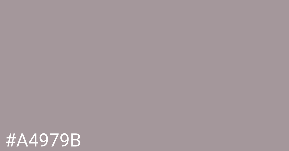 Hex color #a4979b graphic