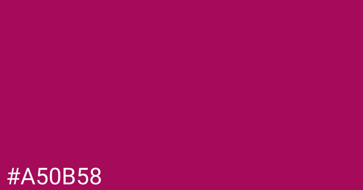 Hex color #a50b58 graphic