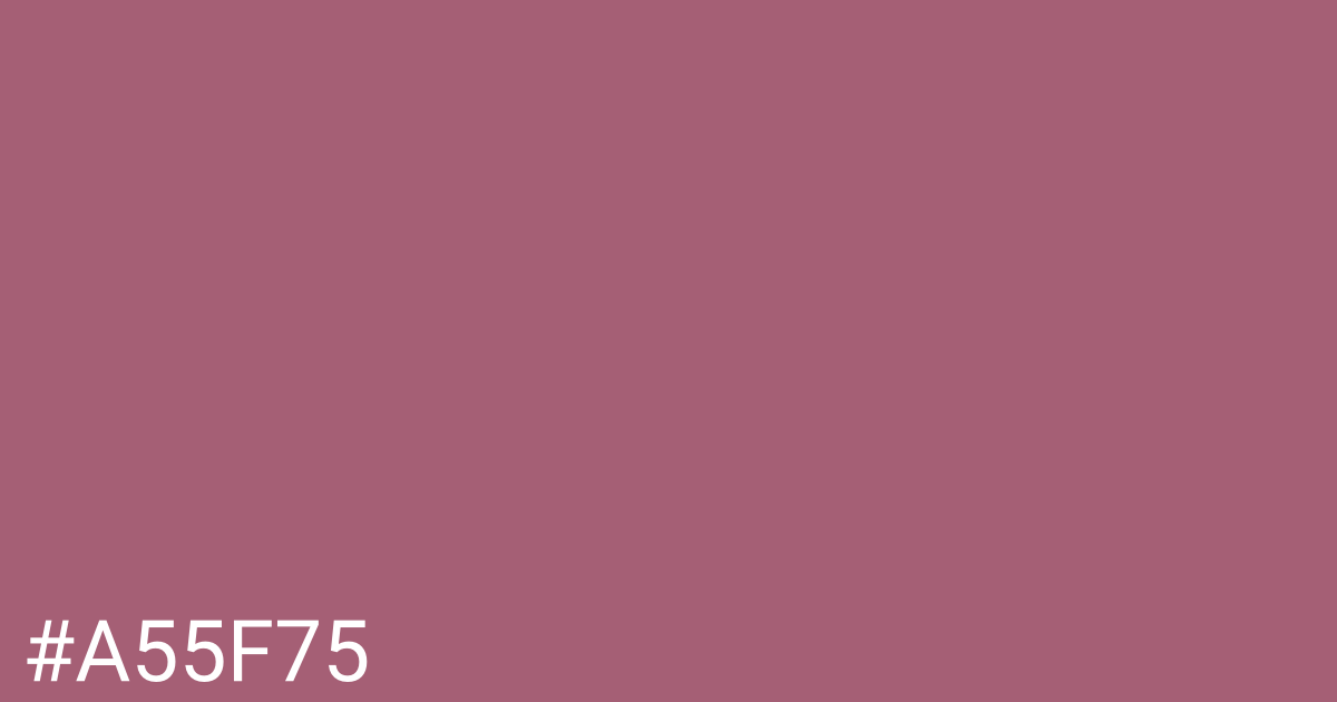 Hex color #a55f75 graphic