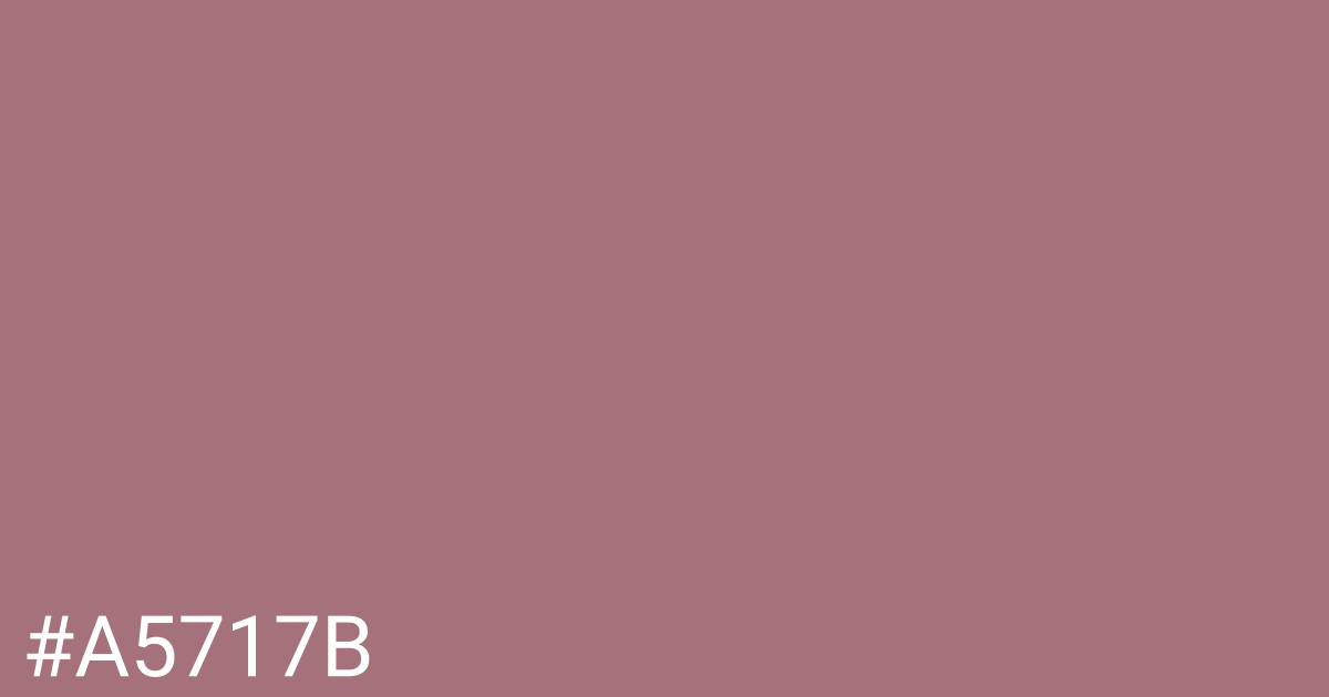 Hex color #a5717b graphic