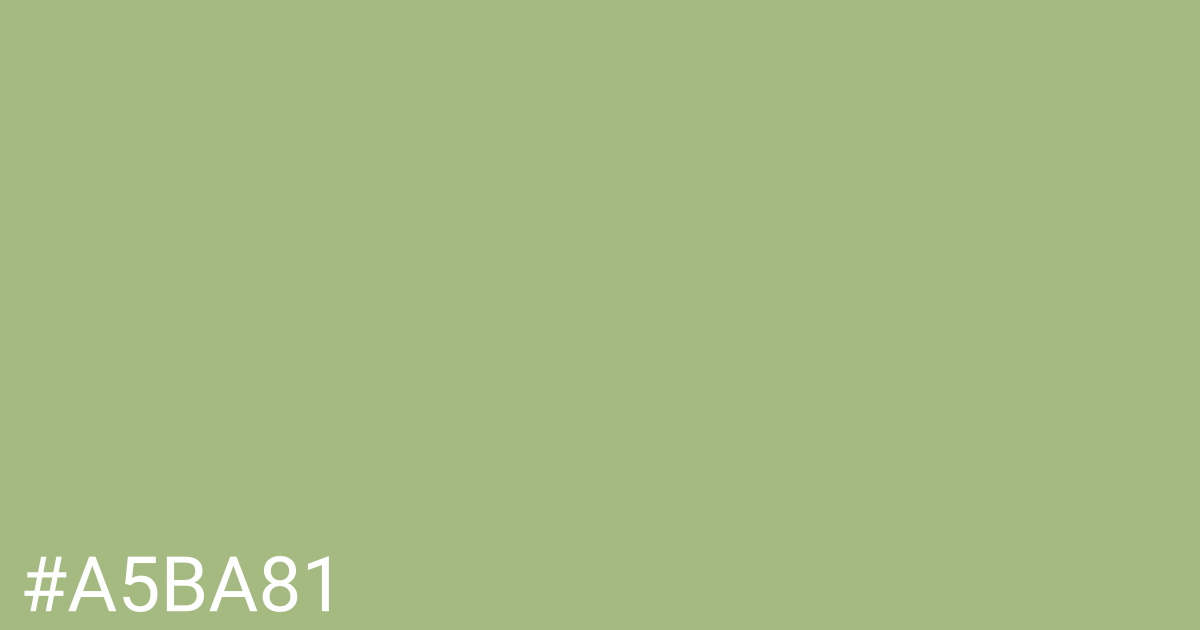 Hex color #a5ba81 graphic