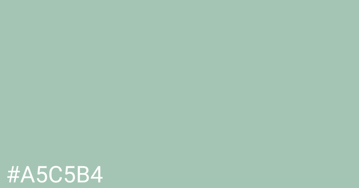 Hex color #a5c5b4 graphic