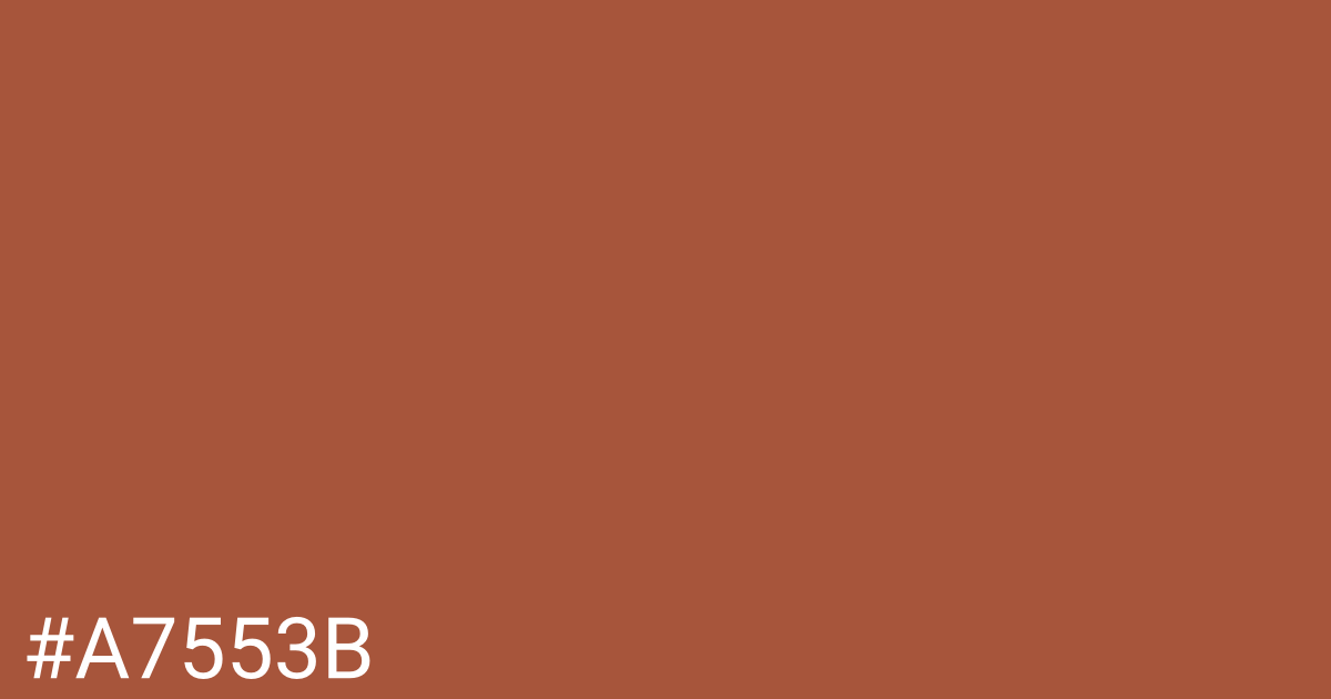 Hex color #a7553b graphic