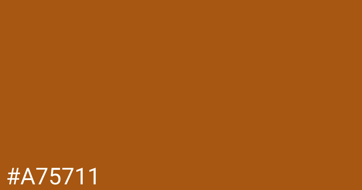 Hex color #a75711 graphic