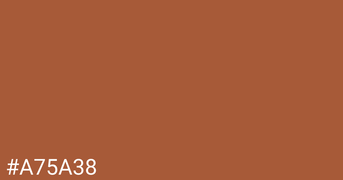 Hex color #a75a38 graphic