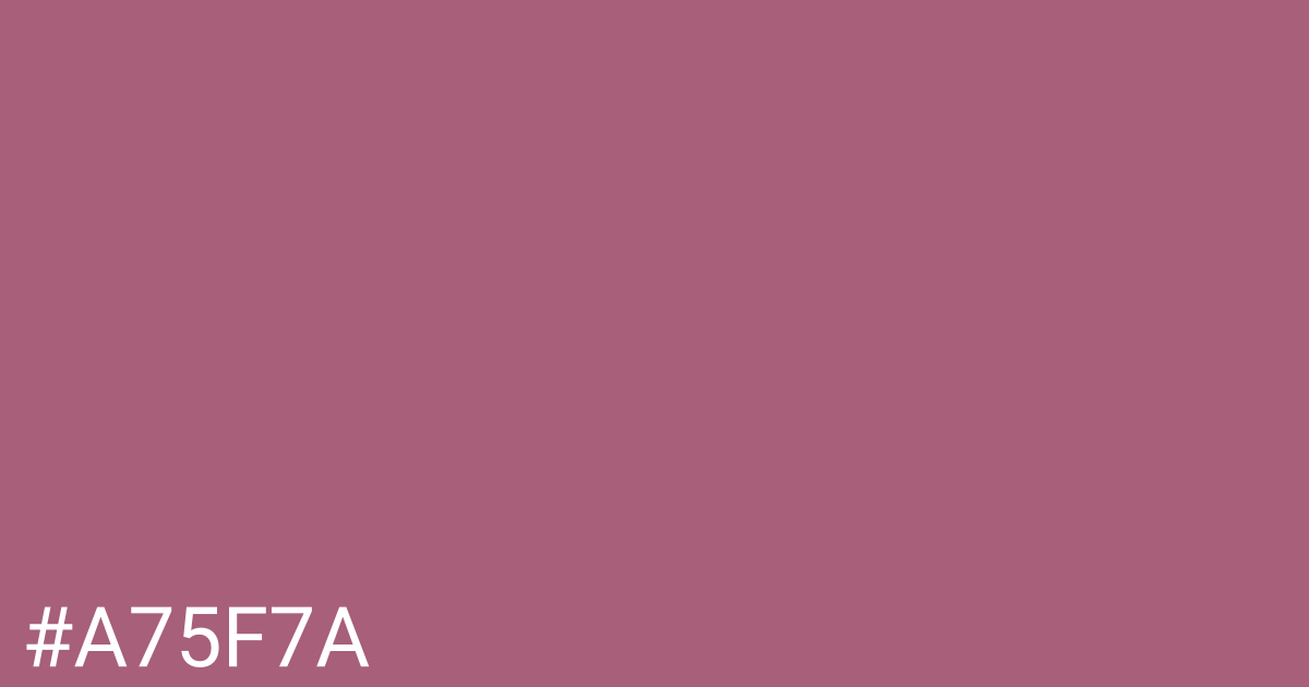 Hex color #a75f7a graphic