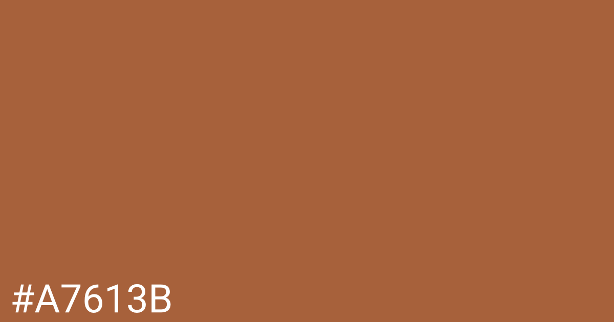 Hex color #a7613b graphic