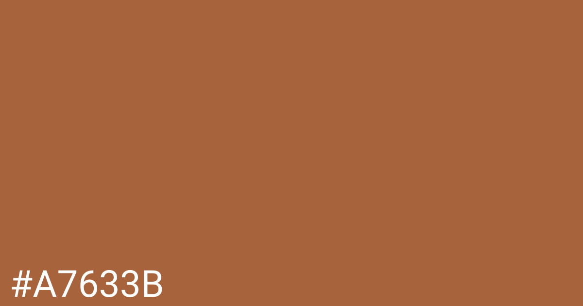 Hex color #a7633b graphic