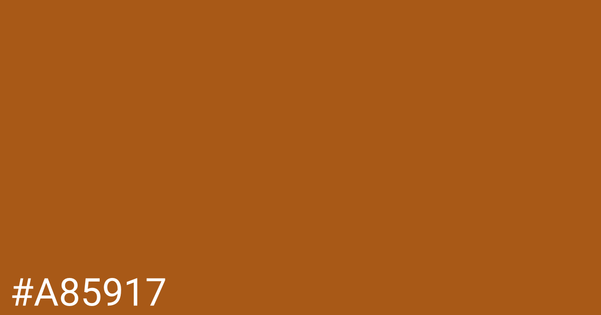 Hex color #a85917 graphic
