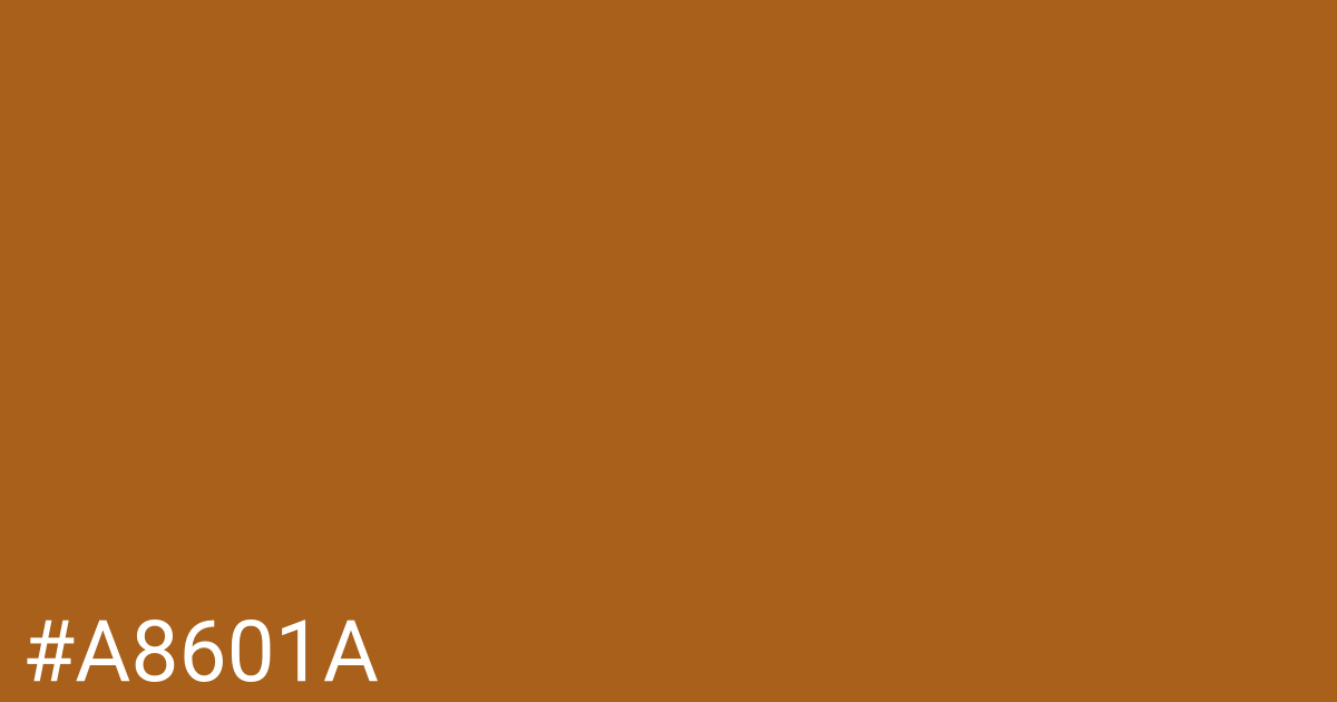 Hex color #a8601a graphic