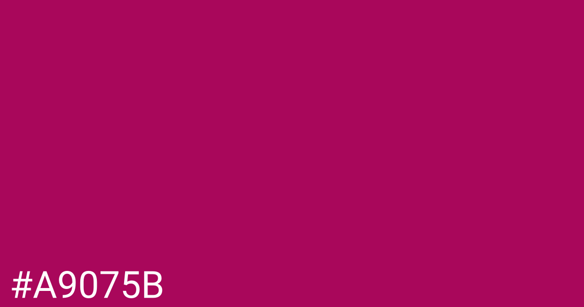 Hex color #a9075b graphic