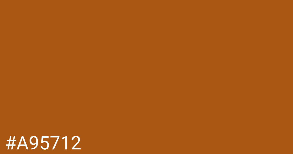 Hex color #a95712 graphic