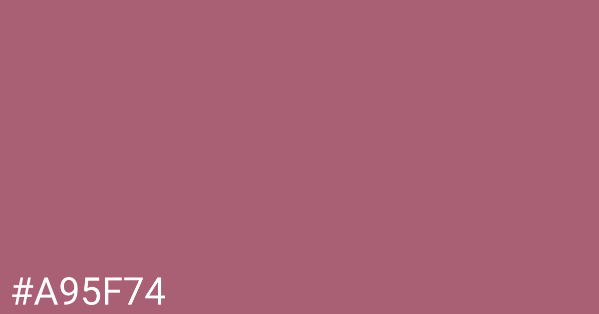 Hex color #a95f74 graphic