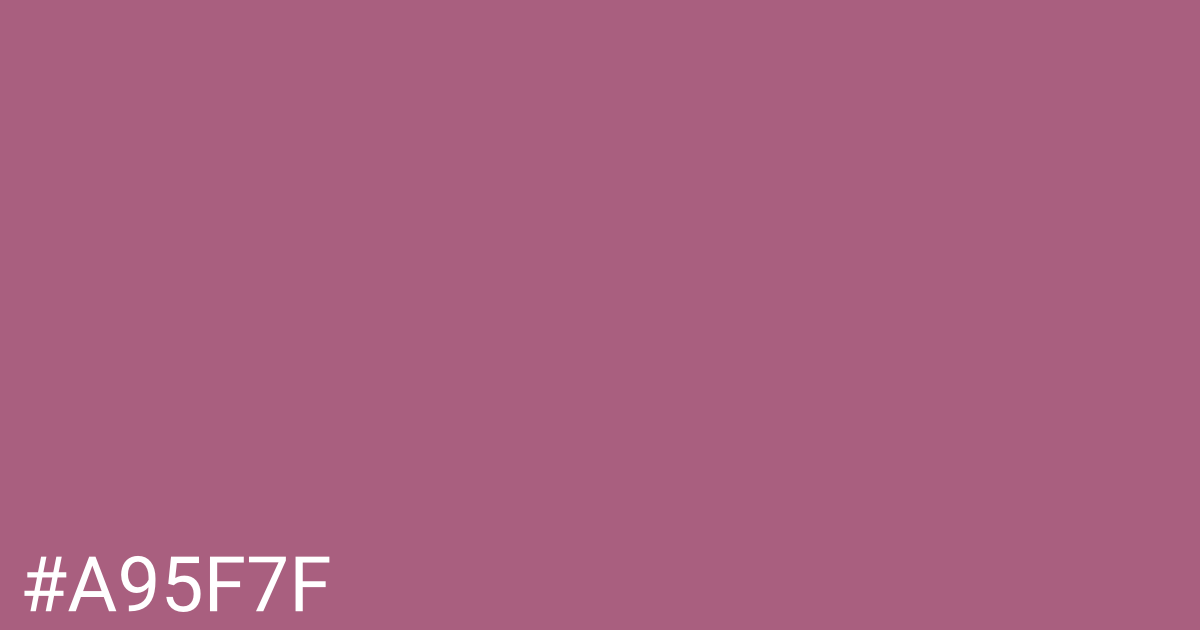 Hex color #a95f7f graphic