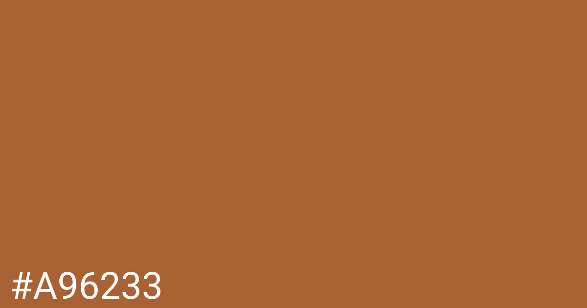 Hex color #a96233 graphic