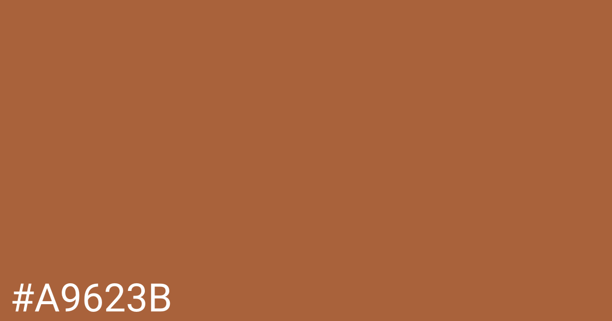 Hex color #a9623b graphic