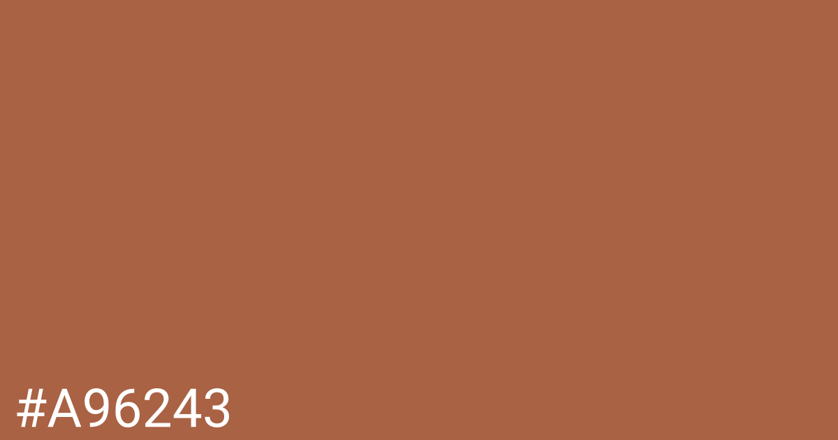 Hex color #a96243 graphic