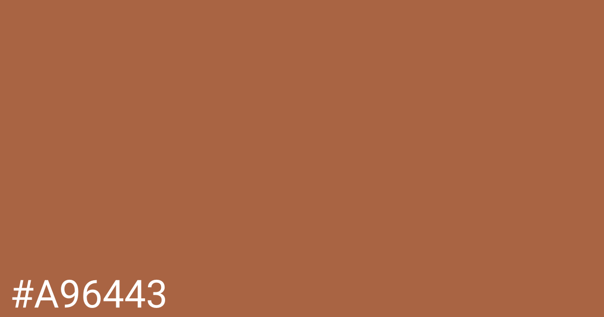 Hex color #a96443 graphic