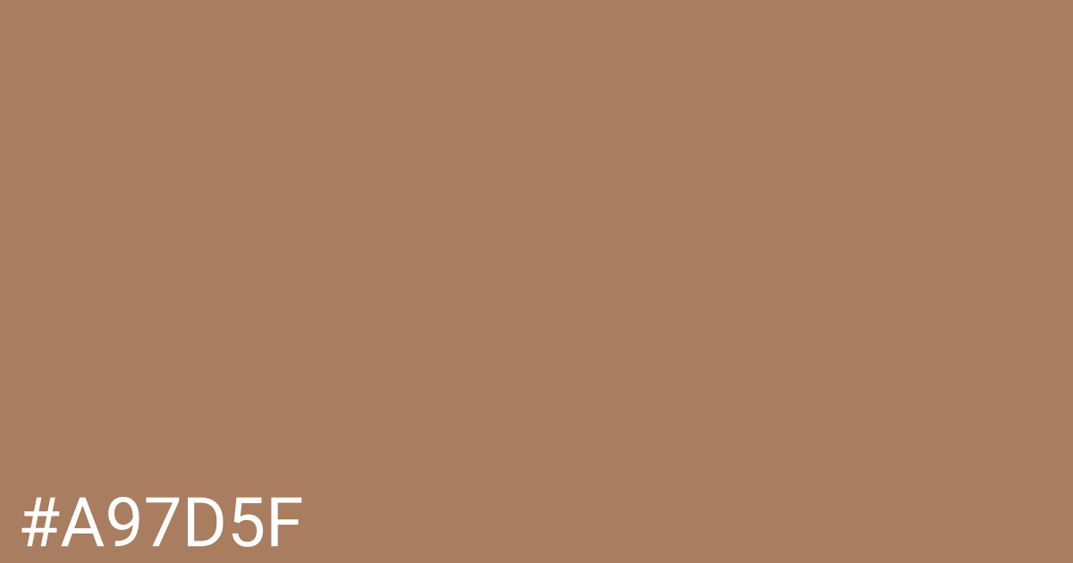 Hex color #a97d5f graphic