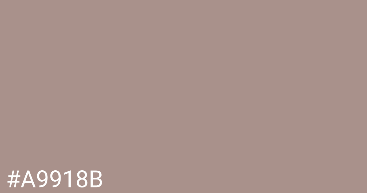 Hex color #a9918b graphic