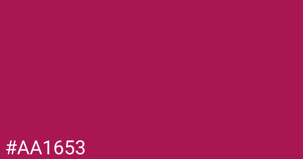Hex color #aa1653 graphic