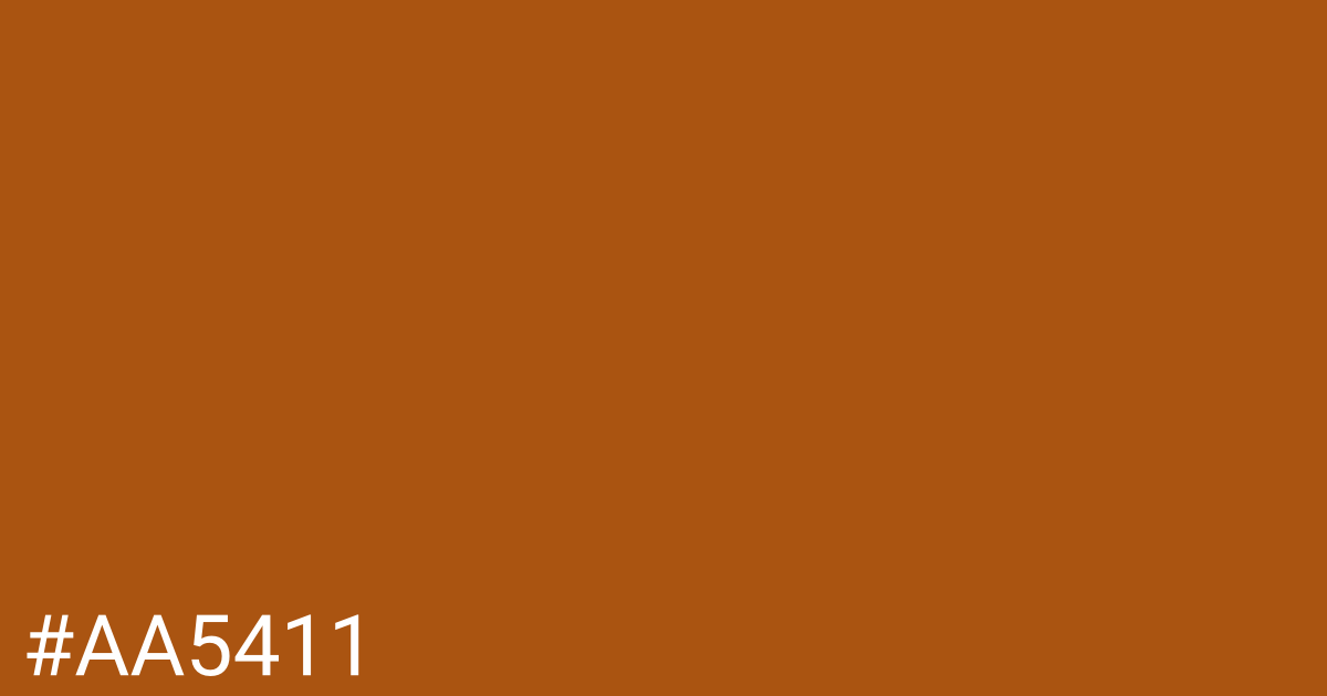 Hex color #aa5411 graphic