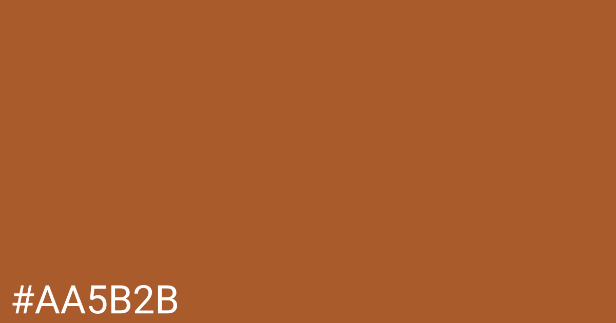 Hex color #aa5b2b graphic