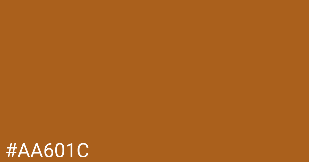Hex color #aa601c graphic