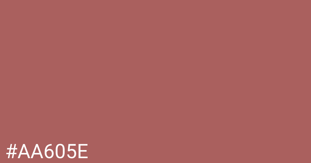 Hex color #aa605e graphic