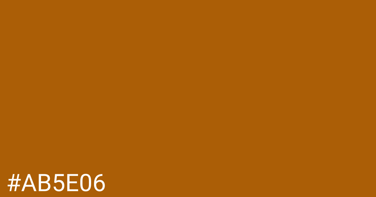 Hex color #ab5e06 graphic