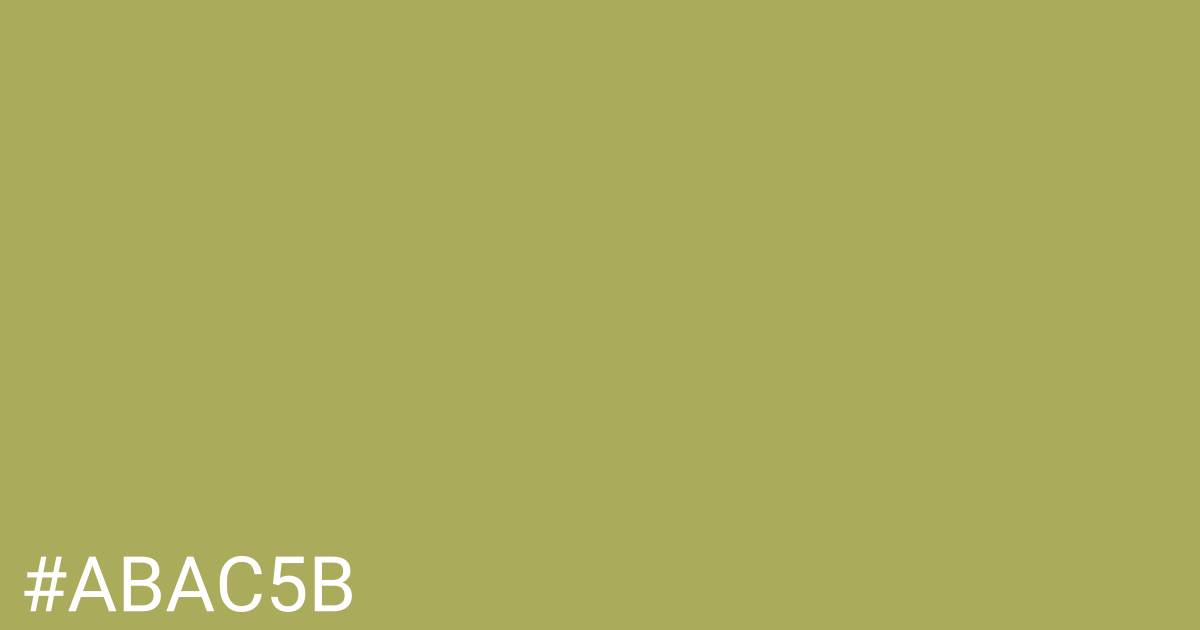 Hex color #abac5b graphic